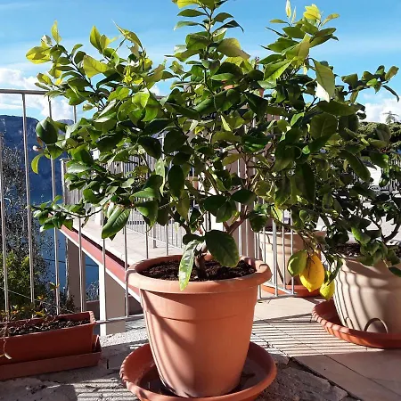 Apartment Casa Punta Veleno *