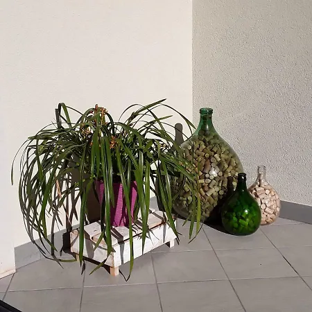 Apartment Casa Punta Veleno Brenzone sul Garda