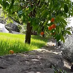 Casa Punta Veleno
