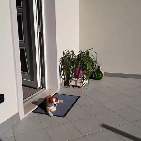 Casa Punta Veleno Apartment